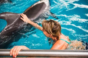 É possível aprender a nadar depois de adulto?