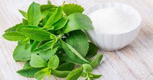 Os produtos com estévia são benéficos?