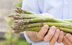 4 opções de receita com aspargos selvagens