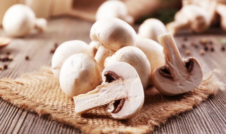 Champignons carnudos cortados