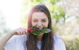 Conheça alguns alimentos ricos em ferro