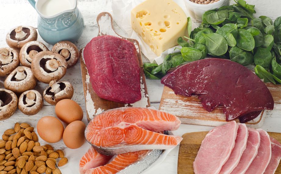 Peixes, ovos, carnes, queijo, cogumelos