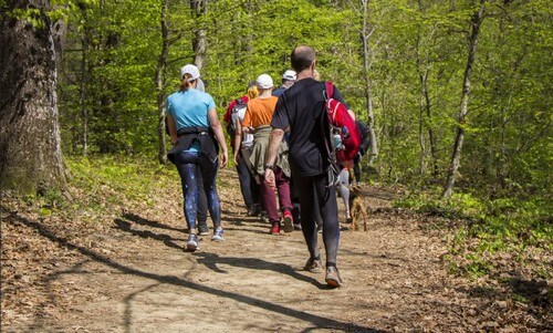 Grupo fazendo trekking