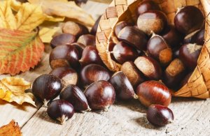 Descubra como preparar três receitas com castanhas
