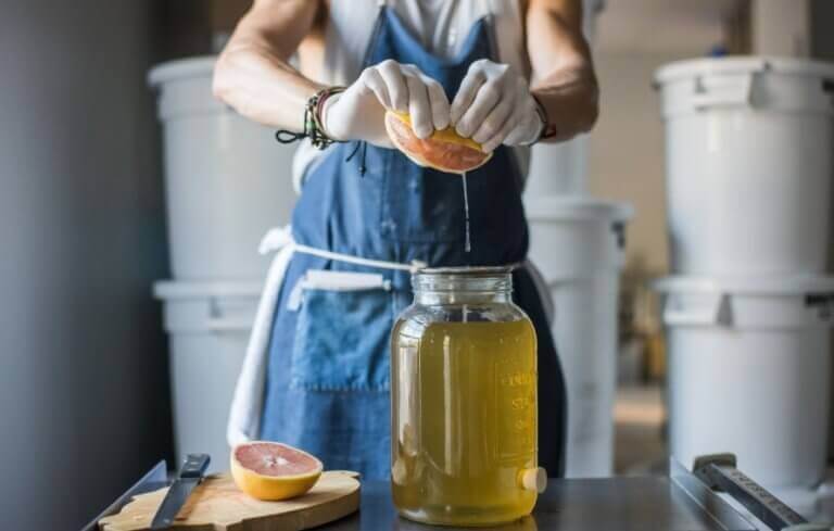 Alimentos fermentados: Kombucha
