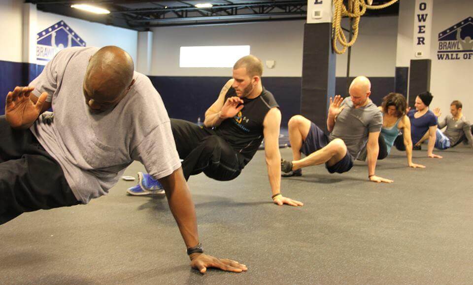 O retorno à vida selvagem e à liberdade de ação