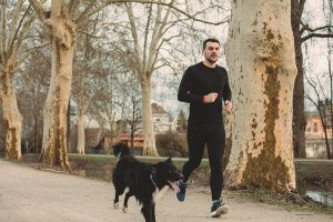 5 dicas para correr com o seu cachorro