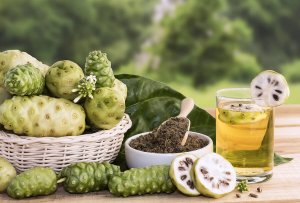 Você conhece o noni e todos os seus benefícios?