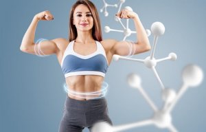 Saiba qual é a importância dos processos de anabolismo e catabolismo