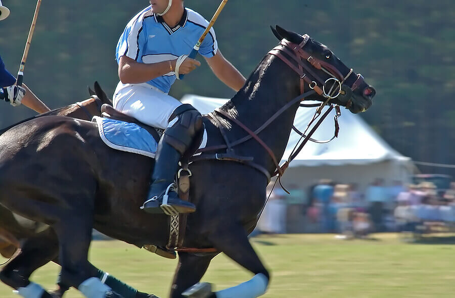 Tudo o que você precisa saber sobre o polo