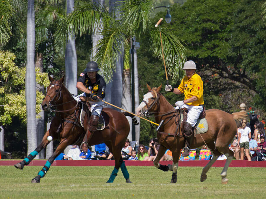 Tudo o que você precisa saber sobre o polo