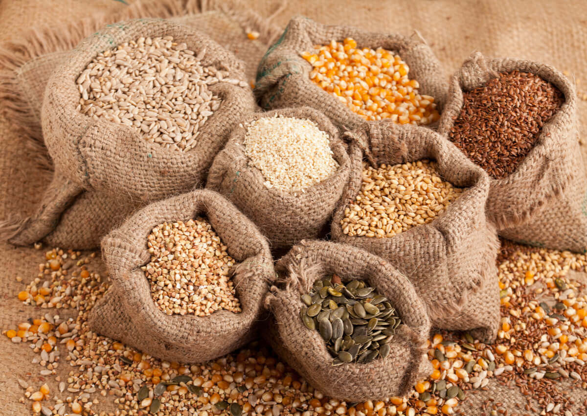 Vegetais ricos em proteínas