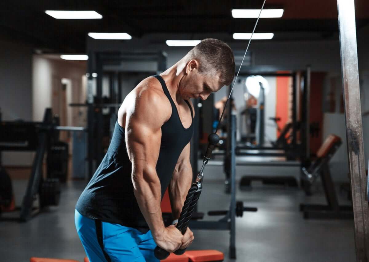 exercícios com faixa elástica para o tríceps
